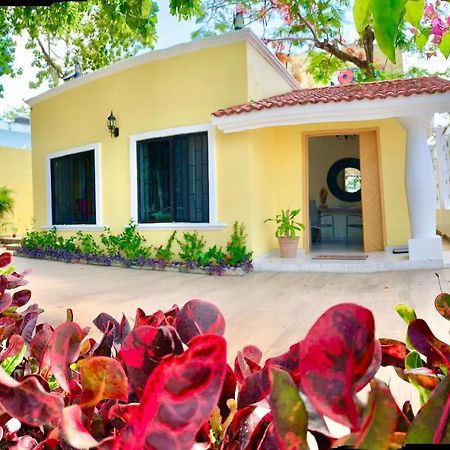 La Casa De Los Alcatraces Cancún Buitenkant foto